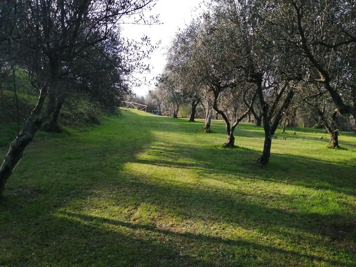 A Casa Di Olivo Villa Castelnuovo Magra