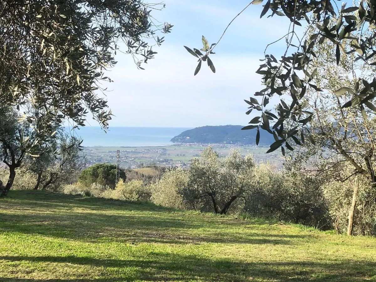 A Casa Di Olivo Villa Castelnuovo Magra