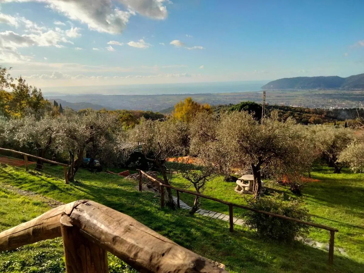 A Casa Di Olivo Villa Castelnuovo Magra