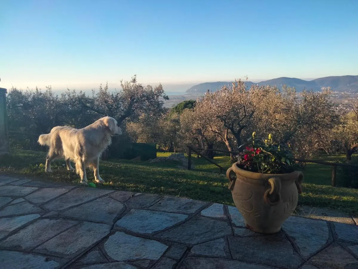 A Casa Di Olivo Villa Castelnuovo Magra Italy