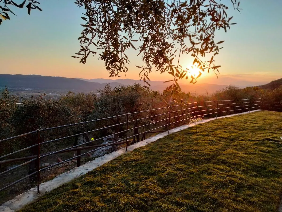 A Casa Di Olivo Villa Castelnuovo Magra