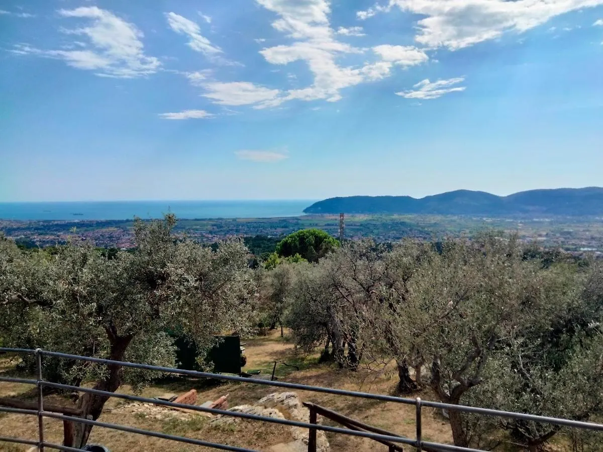 A Casa Di Olivo Villa Castelnuovo Magra