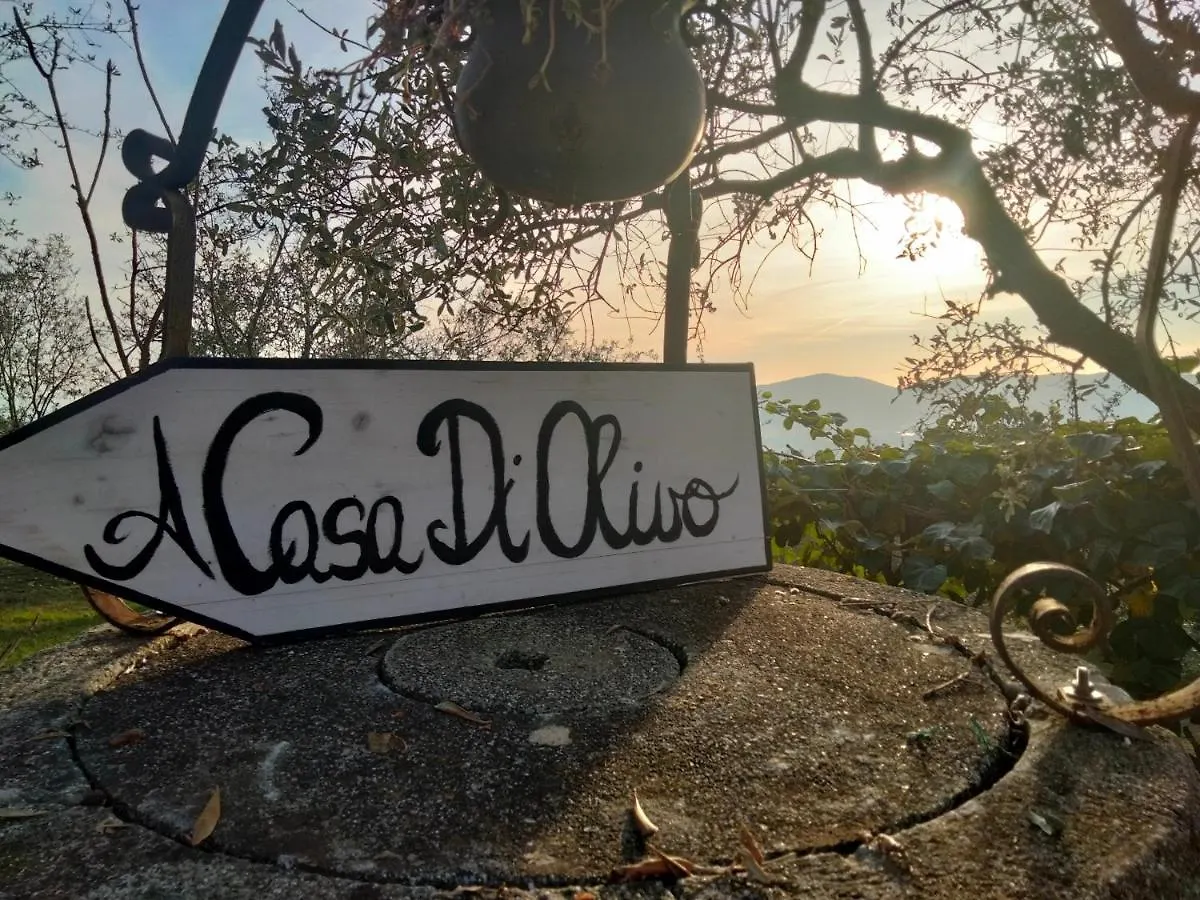 A Casa Di Olivo Villa Castelnuovo Magra Italy
