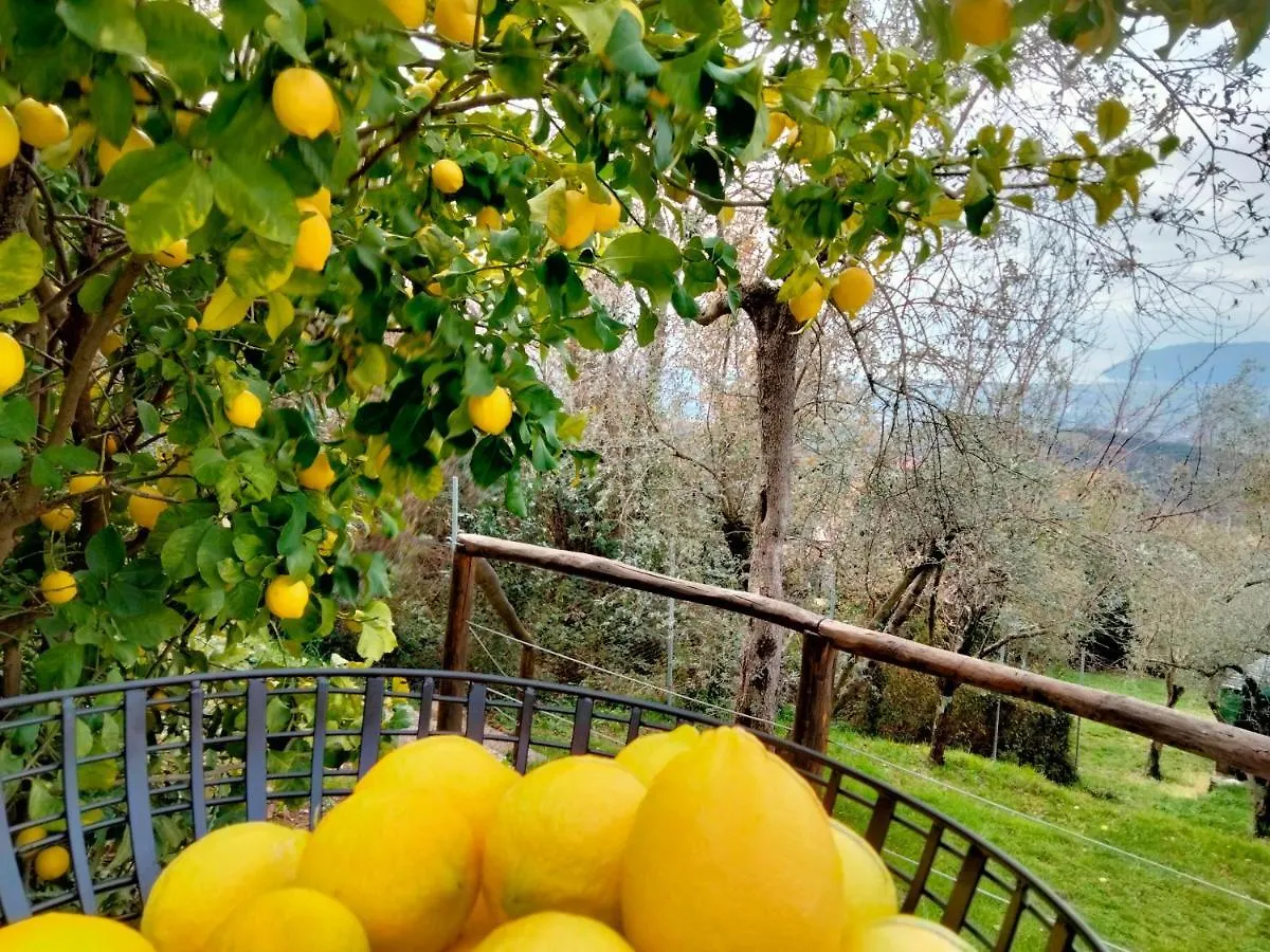 A Casa Di Olivo Villa Castelnuovo Magra