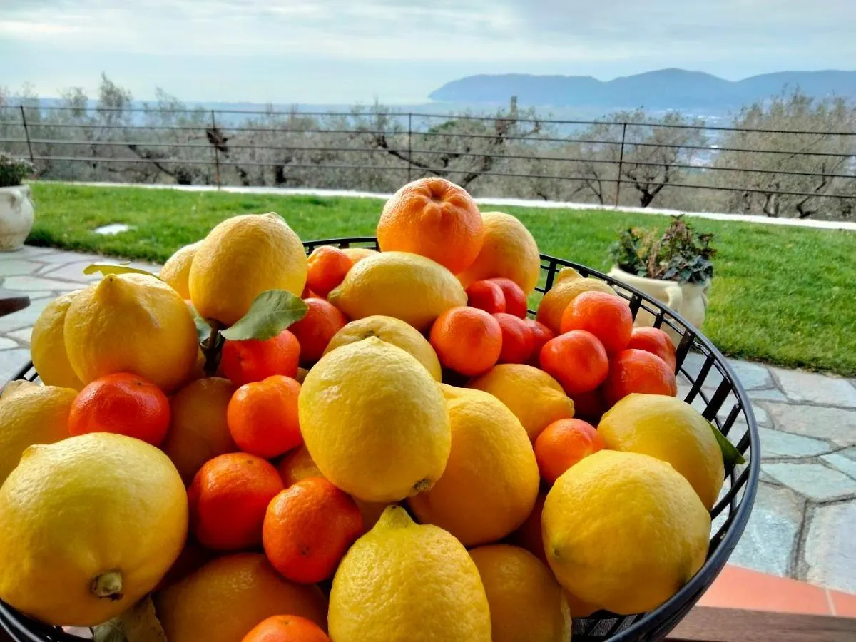 A Casa Di Olivo Βίλα Castelnuovo Magra