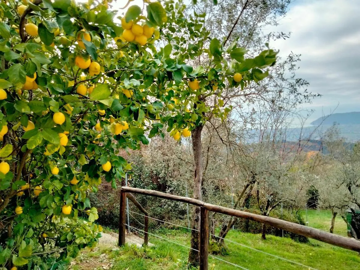 A Casa Di Olivo Villa Castelnuovo Magra Italy