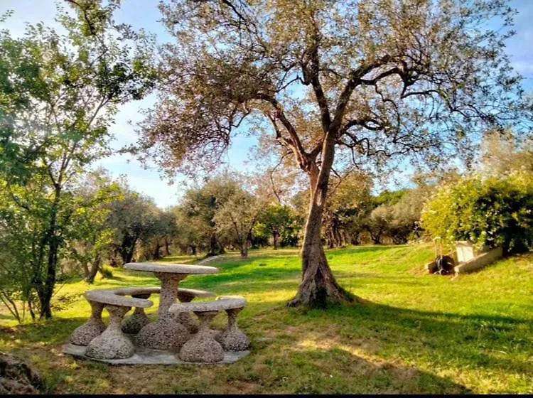 A Casa Di Olivo Villa Castelnuovo Magra 0*,
