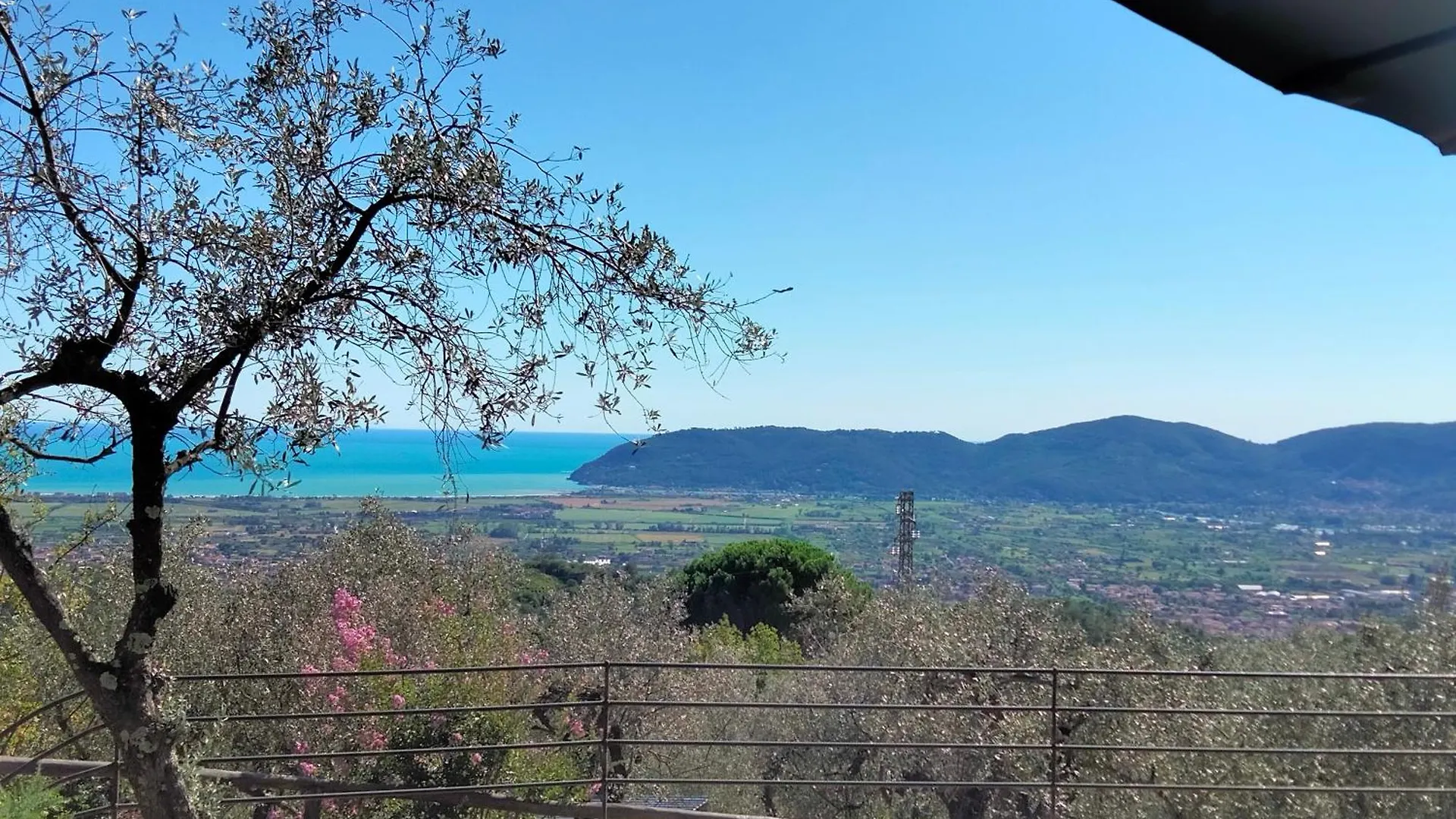 A Casa Di Olivo Villa Castelnuovo Magra